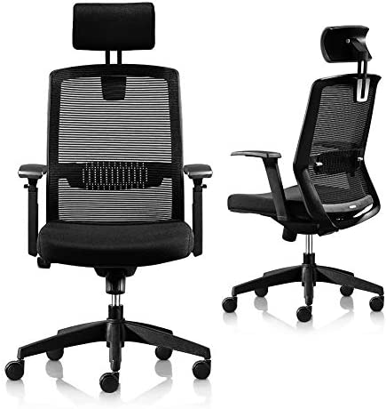 Ergonomic Office Chair, High Back Home Office Desk Chair, Adjustable Armrest Headrest Lumbar Support